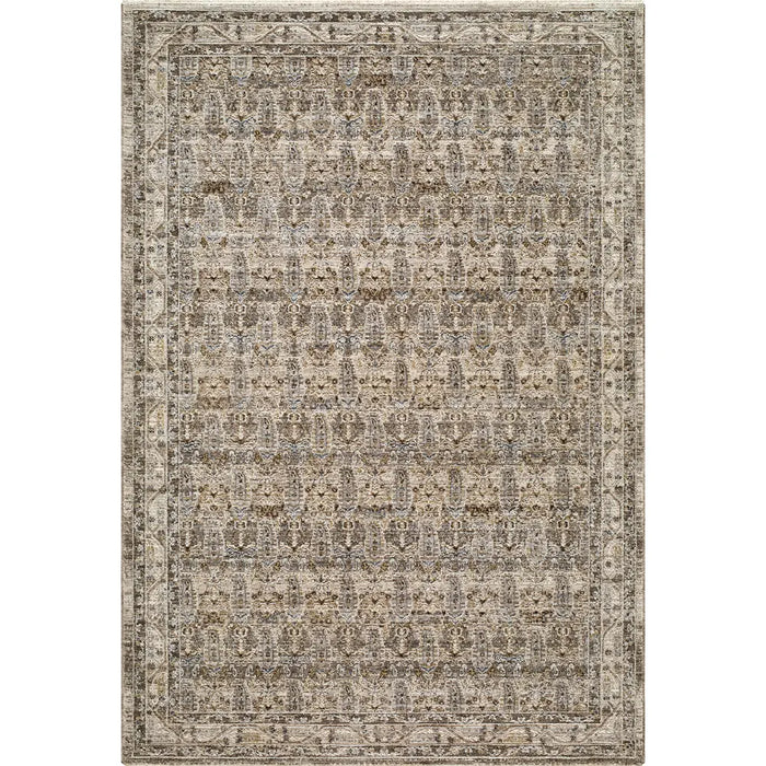 Arda Vintage Taupe Brown Grey Traditional Boho Fringe Living Dining Bedroom ACZ2312 Rug