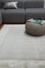 Asiatic ascot silver Grey Living Room Wool Rug.