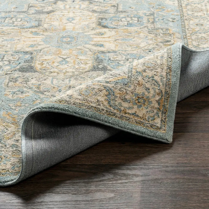 Avellino Vintage Beige Blue Gray Traditional Boho High Pile Living Dining Bedroom Rug AVL2300