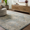 Avellino Vintage Beige Blue Gray Traditional Boho High Pile Living Dining Bedroom Rug AVL2300