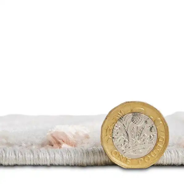 Think Rugs apollo 2681 grey rose Grey, Pink Living Room  Rug.