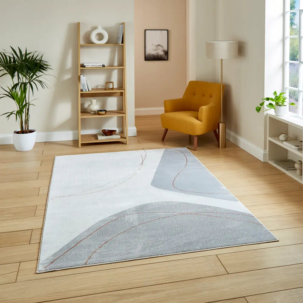 Apollo E9974 Grey/Rose Modern Abstract Rug Grey Rug — RugsDirect Online