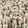 Rocks Moss 070537 Rug