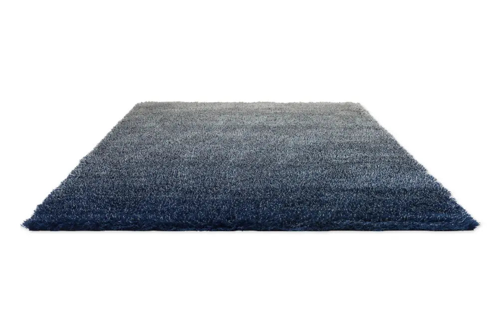Shade High Silver/Polar Night 011904 Rug