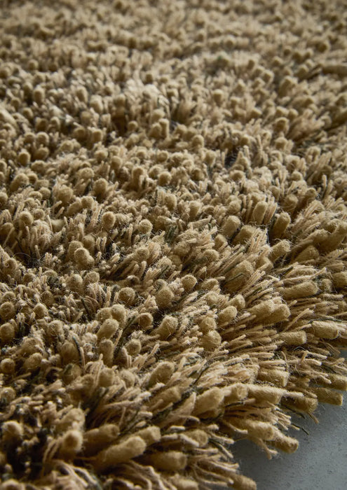 Sprout Dusty Ground