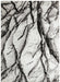 Concept Looms blaze blz04 silver grey Grey Living Room  Rug.