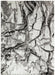 Concept Looms blaze blz07 silver grey Grey Living Room  Rug.
