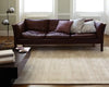 Asiatic blade putty Beige Living Room  Rug.