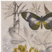 Clarke & Clarke botany cc botany Beige Living Room Floral Rug.