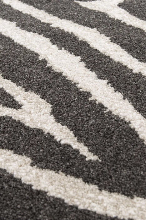 City ZEBRA BLACK