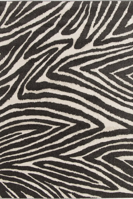 City ZEBRA BLACK
