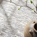 Calvin Klein ck005 enchanting ech03 grey beige Grey, Beige Living Room  Rug.