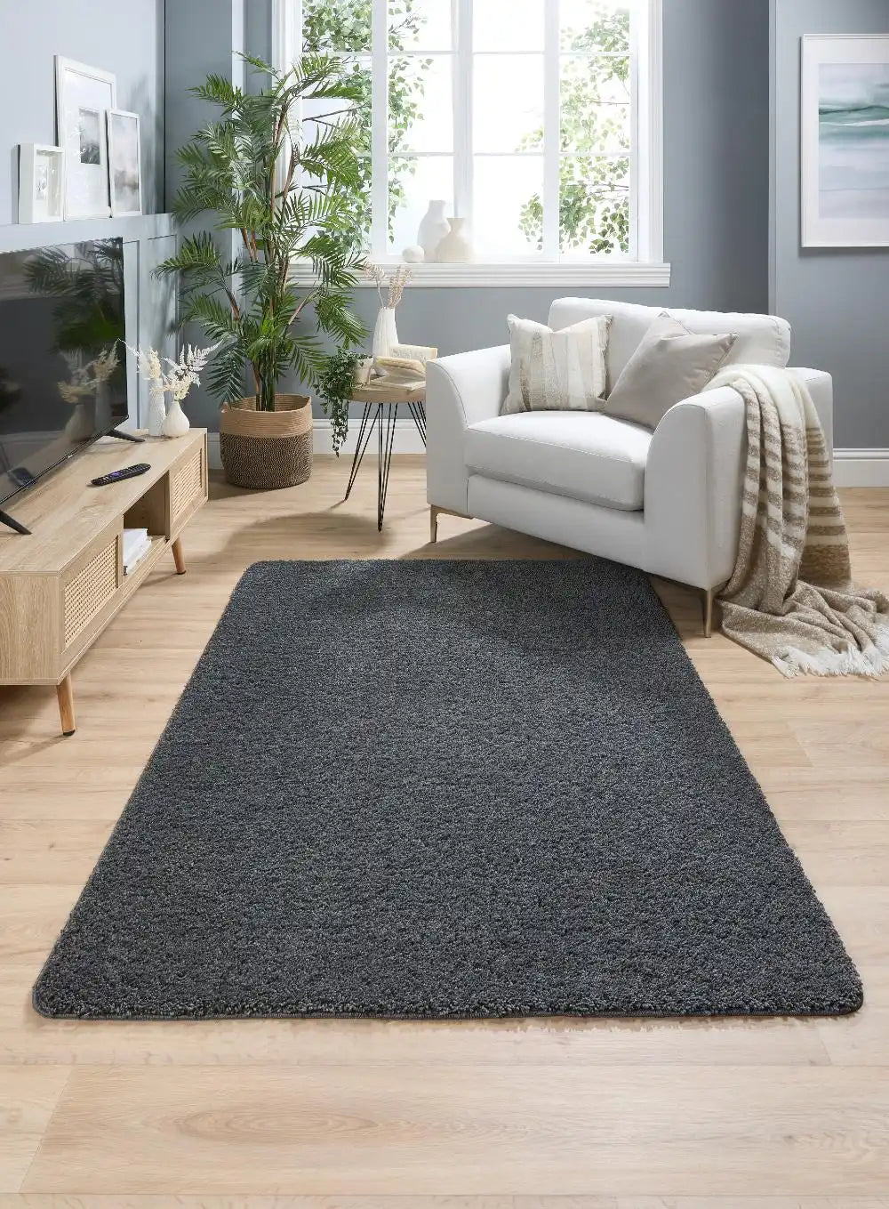 Buddy Charcoal Rugs - Buy Charcoal Rugs Online from Rugs Direct ...