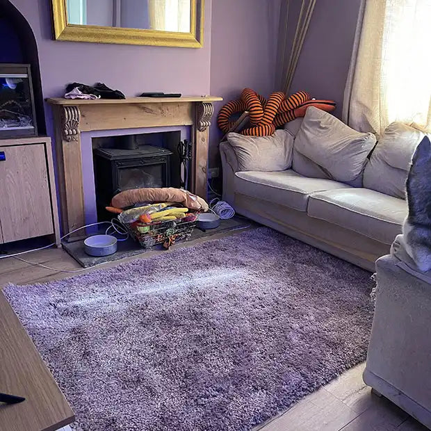 Photo by Rebekah S., | Origins chicago lavender Living Room Shaggy Rug.