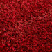 Oriental Weavers harmony red Red Living Room Shaggy Rug.