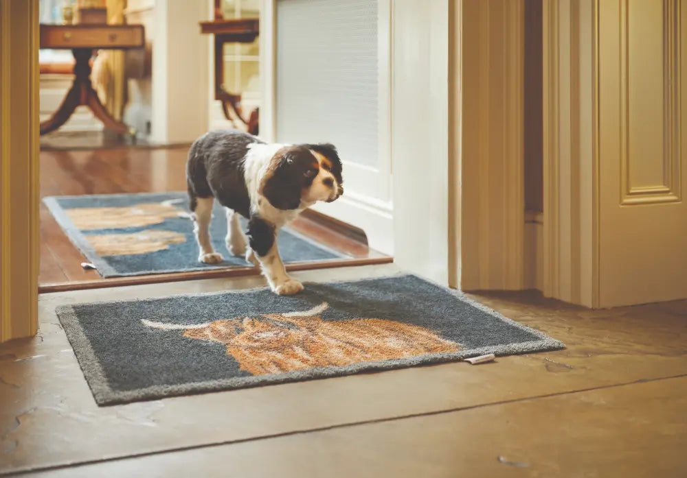 Patterned Hug Rug Highland 1