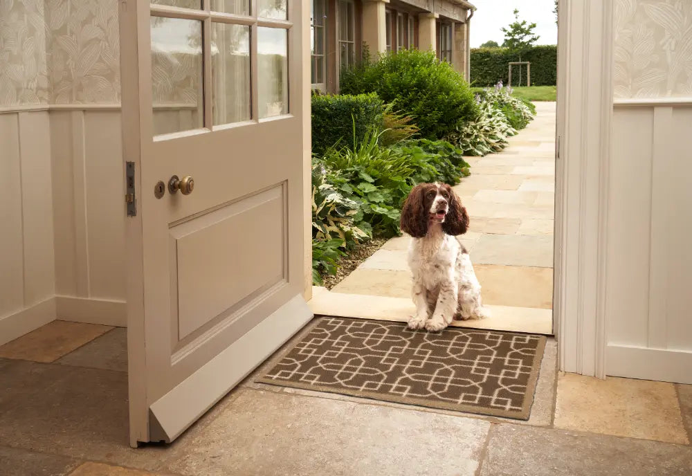 Sanderson Hampton Brown Washable