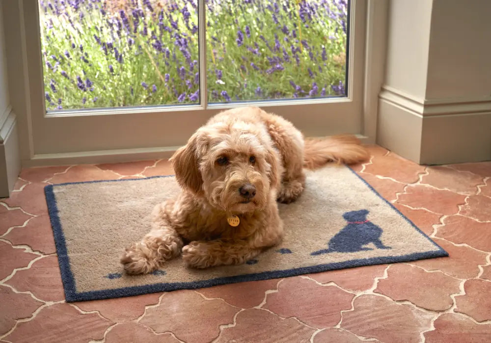 Turtle Mat Design Walkies - Neutral Washable