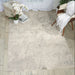 Nourison maxell mae12 ivory grey Grey, Ivory Living Room Floral Rug.