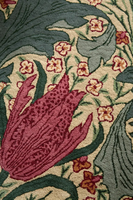 Morris Lent Lily Plum Bayleaf 130901
