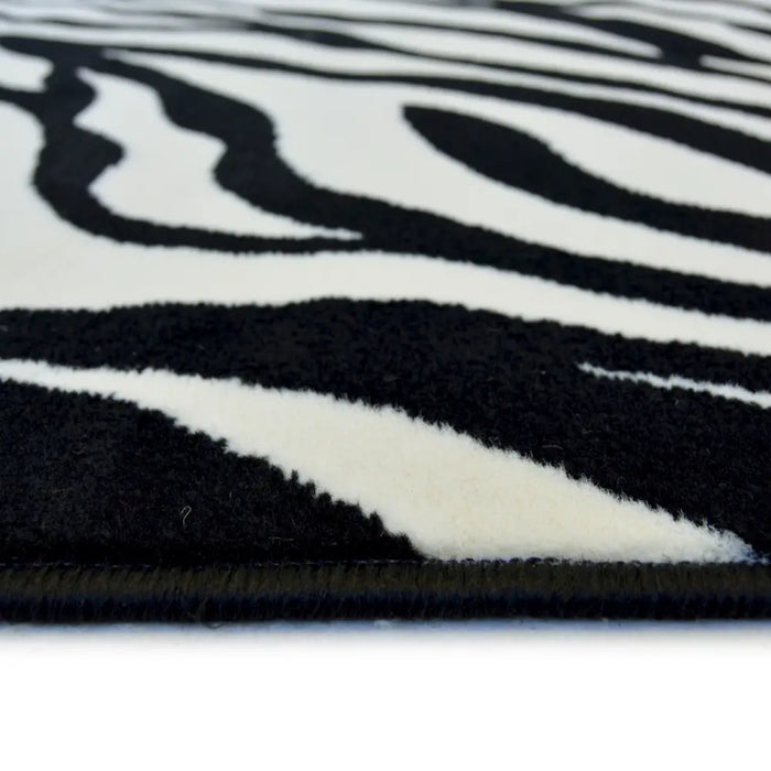 Maestro Zebra