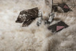 Asiatic mantra pearl Ivory Living Room Wool Rug.