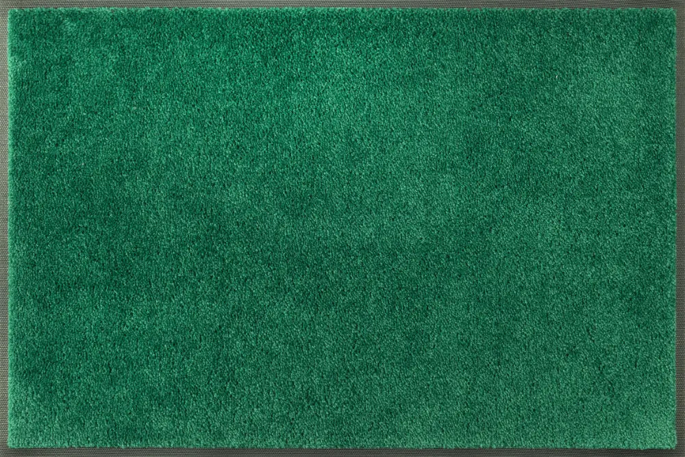 Wash + Dry Evergreen Washable