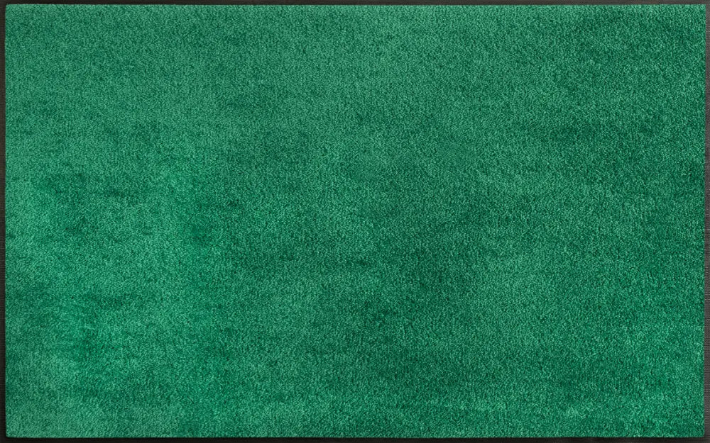 Wash + Dry Evergreen Washable