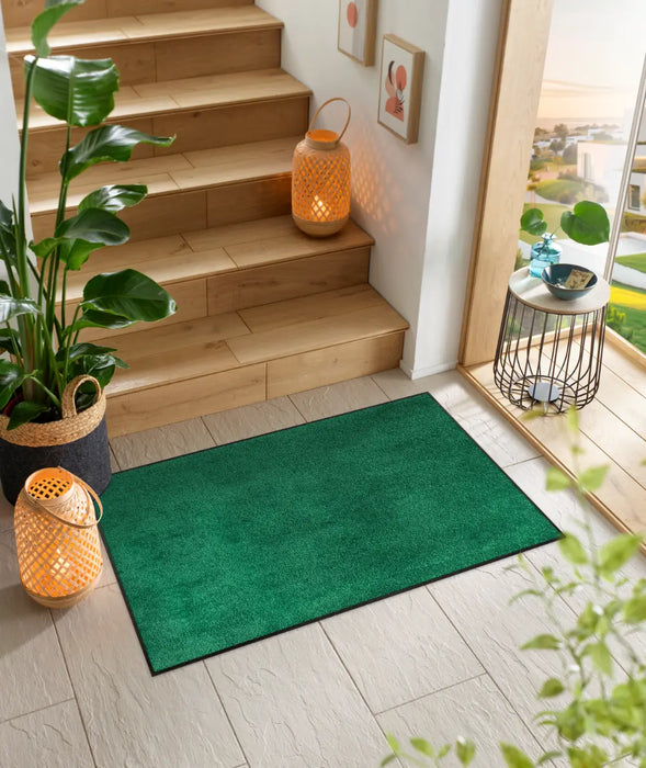 Wash + Dry Evergreen Washable