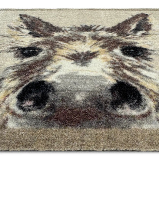 Donkey Multi