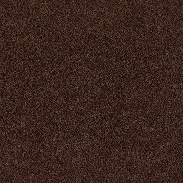 Buddy Washable Chocolate Rug
