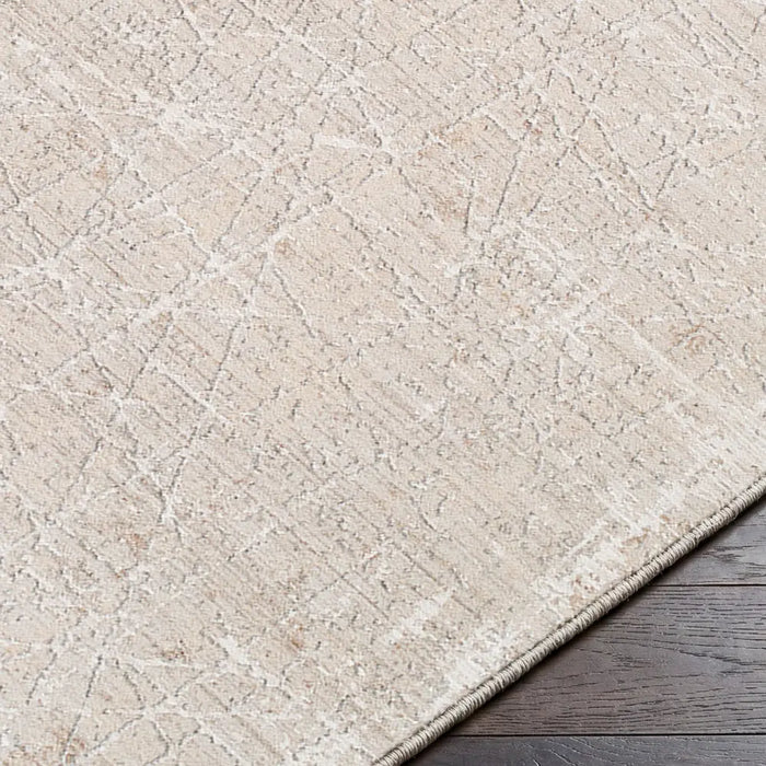Nathan Modern Grey Beige Brown Graphic Fringe Living Dining Bedroom Rug NTH2300