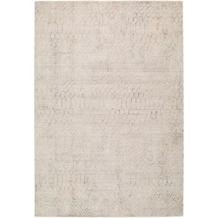 Nathan Modern Grey Beige Brown Graphic Fringe Living Dining Bedroom Rug NTH2301