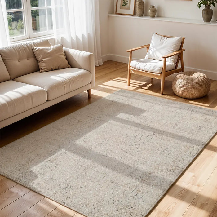 Nathan Modern Grey Beige Brown Graphic Fringe Living Dining Bedroom Rug NTH2301