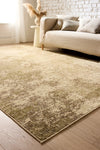 Oren Moss/Cream