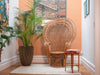Photo by Biff | Wicker peacock chair in a room with a plant and small table. On a Sisal Rug