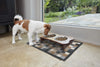 Turtle Designs Neutral Squares Rug