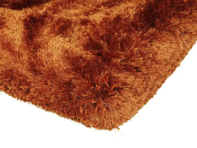 Asiatic plush plush rust Orange Living Room Shaggy Rug.