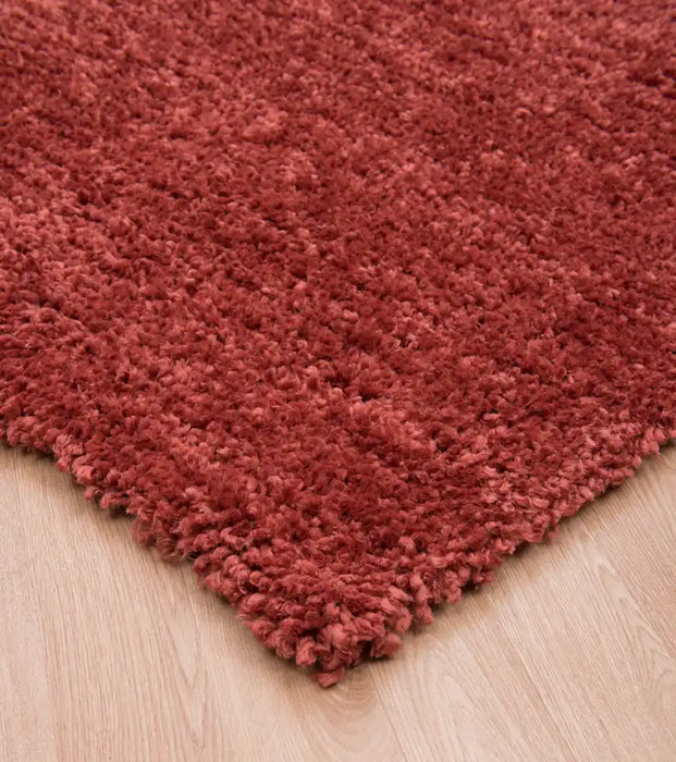 Asiatic asiatic spiral coral Orange, Pink Living Room Shaggy Rug.