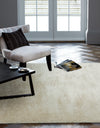 Asiatic payton beige Beige Living Room  Rug.
