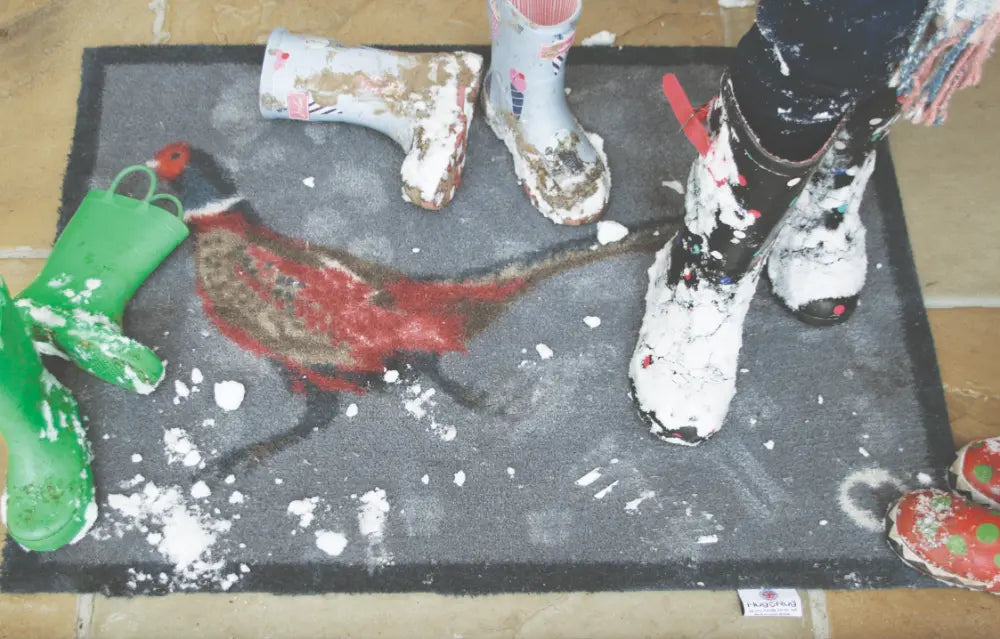 Patterned Hug Rug Pheasant 1