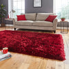  polar ruby    Rug.