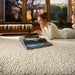 Rug Guru union ivory Ivory Living Room Wool Rug.