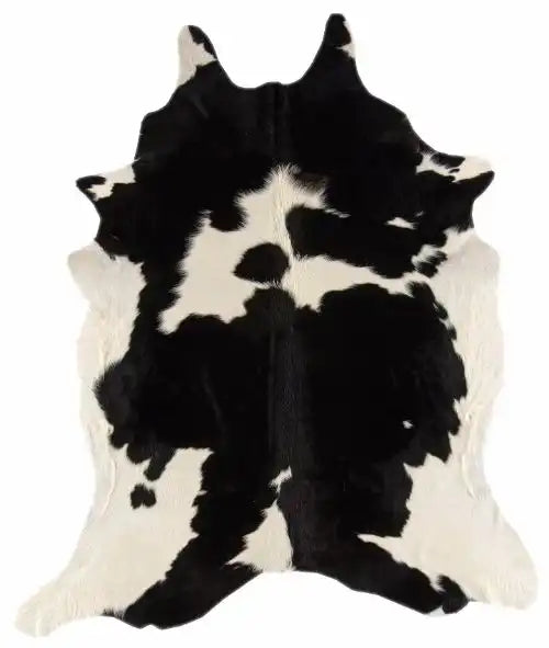 Asiatic rodeo cowhides black and white Black, Ivory Living Room  Rug.