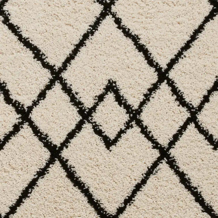 Think Rugs royal nomadic a638 white black Black, Ivory Living Room Shaggy Rug.