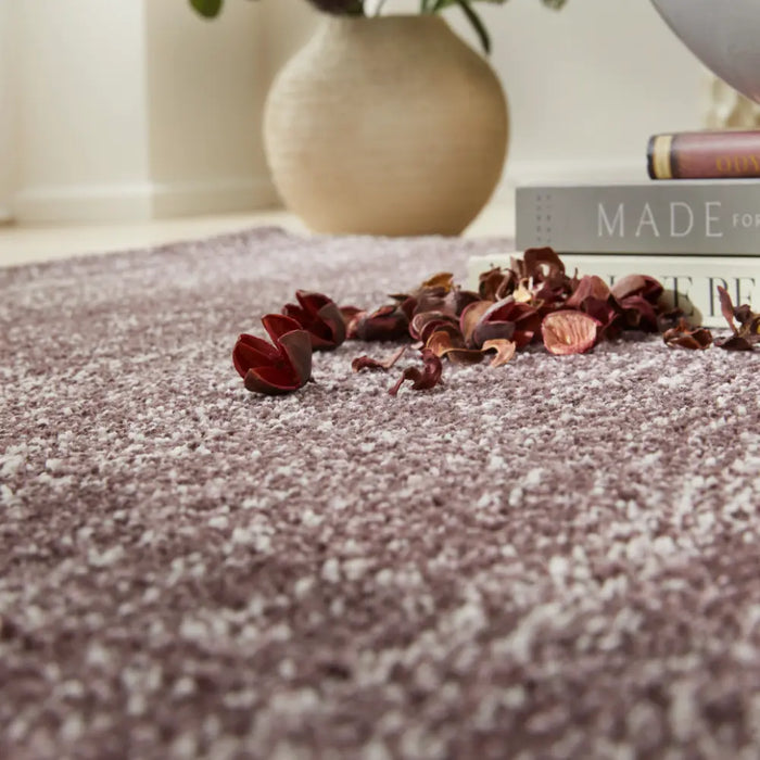 SOMERSET SOM101 Plum