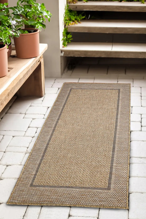 SUMMER BORDER