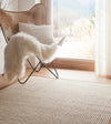 Sisal Boucle Natural/Mocha Border