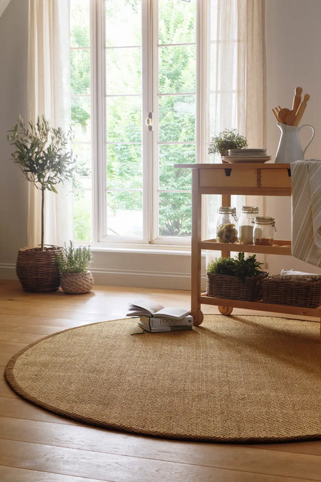 Origins Sisal Warm Natural with Dark Brown Border Rug