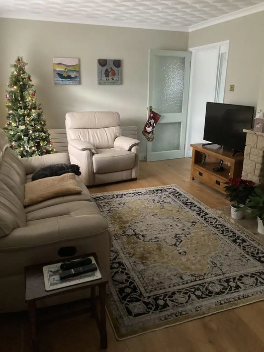 Photo by Lesley B., | Asiatic sovereign gold medallion 03 Living Room Flat Weave Rug.